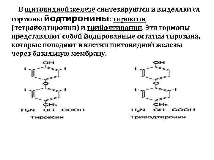 Тироксин синтезируется в