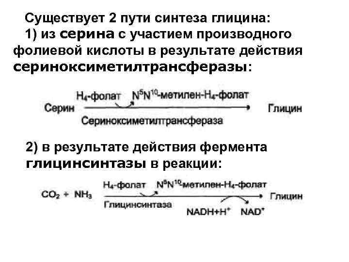 Существует 2 пути синтеза глицина: 1) из серина с участием производного фолиевой кислоты в