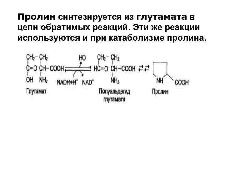 Аминокислоту глицин синтезируют по схеме