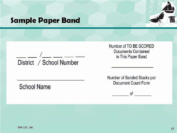 Sample Paper Band TAM 237; 240 57 