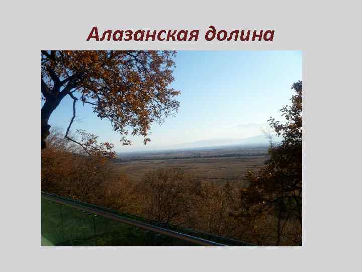 Алазанская долина 