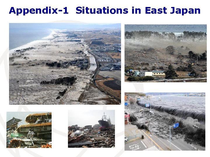 Appendix-1 Situations in East Japan 