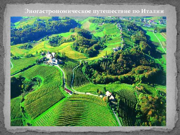 Эногастрономическое путешествие по Италии 