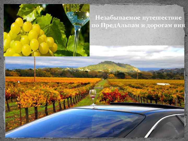 Незабываемое путешествие по Пред. Альпам и дорогам вин 