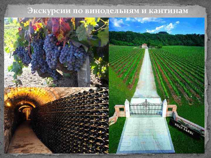 Экскурсии по винодельням и кантинам 