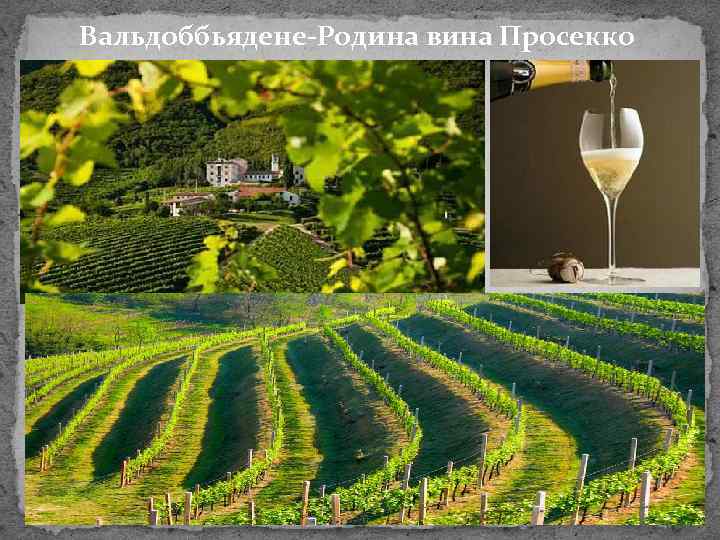 Вальдоббьядене-Родина вина Просекко 