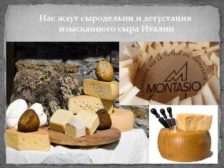 Нас ждут сыродельни и дегустация изысканного сыра Италии 