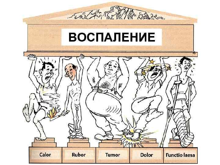 ВОСПАЛЕНИЕ 