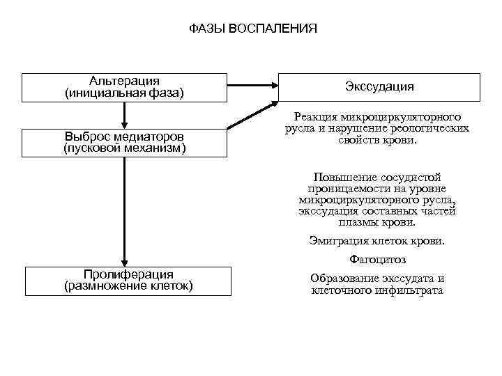 ФАЗЫ ВОСПАЛЕНИЯ Альтерация (инициальная фаза) Выброс медиаторов (пусковой механизм) Экссудация Реакция микроциркуляторного русла и