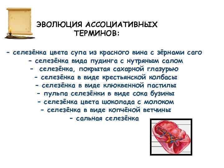 ЭВОЛЮЦИЯ АССОЦИАТИВНЫХ ТЕРМИНОВ: - селезёнка цвета супа из красного вина с зёрнами саго -