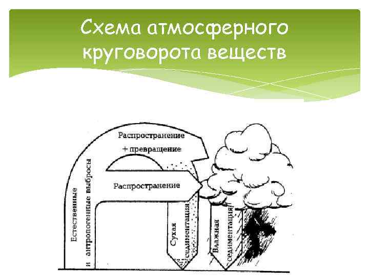 Схема круговорота веществ биология 9 класс