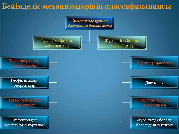 Бейімделу шынығу және білім алу презентация