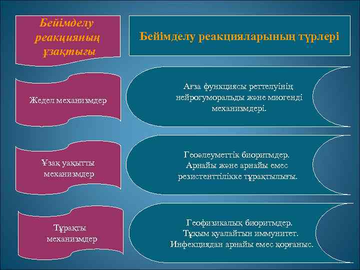 Бейімделу реакцияның ұзақтығы Бейімделу реакцияларының түрлері Жедел механизмдер Ағза функциясы реттелуінің нейрогуморальды және миогенді