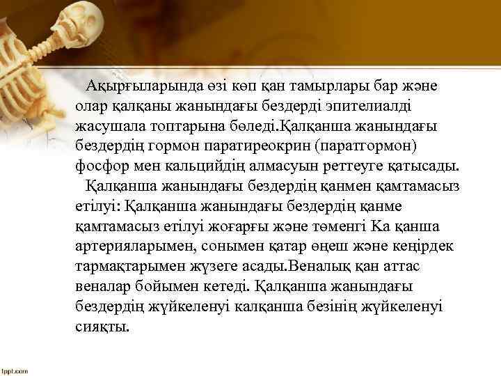 Ақырғыларында өзі көп қан тамырлары бар және олар қалқаны жанындағы бездерді эпителиалді жасушала топтарына