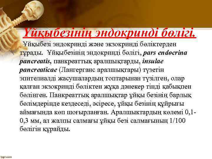 Үйқыбезінің эндокринді бөлігі. Ұйқыбезі эндокринді және экзокринді бөліктерден тұрады. Ұйқыбезінің эндокринді бөлігі, pars endocrina