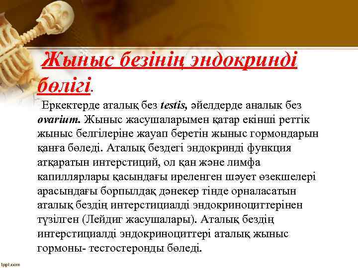 Жыныс безінің эндокринді бөлігі. Еркектерде аталық без testis, әйелдерде аналык без ovarium. Жыныс жасушаларымен