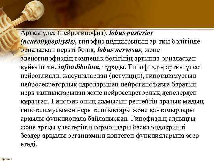 Артқы үлес (нейрогипофиз), lobus posterior (neurohypophysis), гипофиз шұңқырының ар тқы бөлігінде орналасқан нервті бөлік,