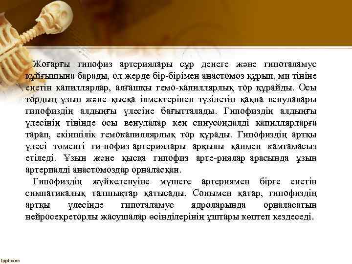 Жоғарғы гипофиз артериялары сұр денеге және гипоталамус құйғышына барады, ол жерде бірімен анастомоз құрып,