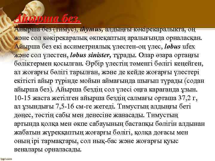 Айырша без (тимус), thymus, алдыңғы көкірекаралыкта, оң және сол көкірекаралық өкпеқаптың аралығында орналасқан. Айырша