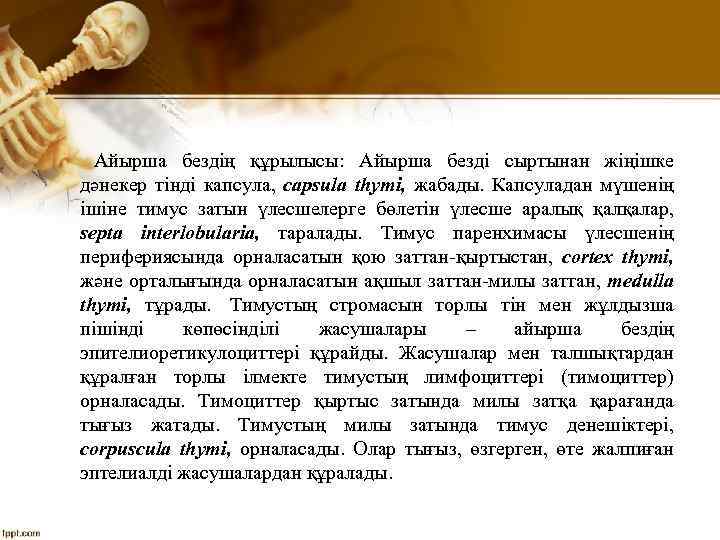 Айырша бездің құрылысы: Айырша безді сыртынан жіңішке дәнекер тінді капсула, capsula thymi, жабады. Капсуладан