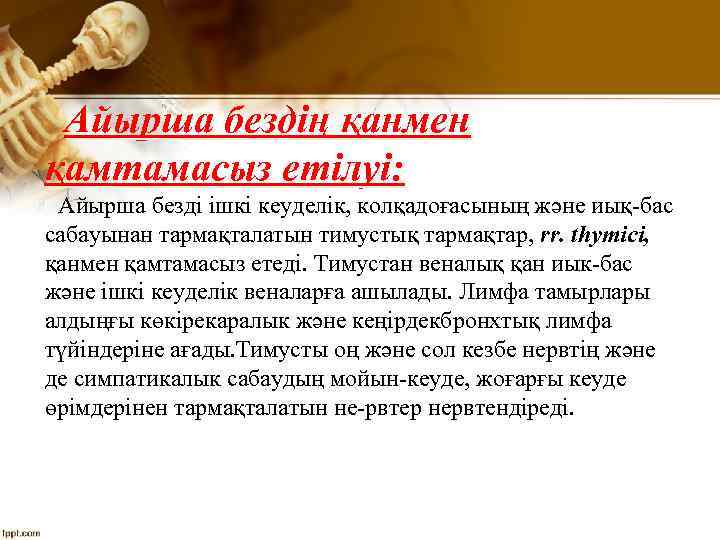 Айырша бездің қанмен қамтамасыз етілуі: Айырша безді ішкі кеуделік, колқадоғасының және иық бас сабауынан