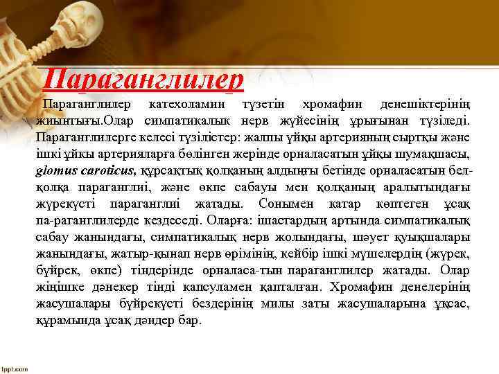 Параганглилер катехоламин түзетін хромафин денешіктерінің жиынтығы. Олар симпатикалык нерв жүйесінің ұрығынан түзіледі. Параганглилерге келесі