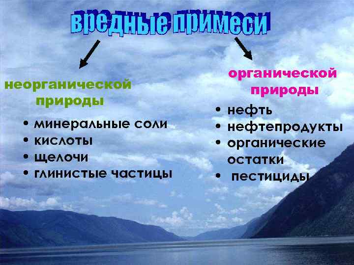 неорганической природы • минеральные соли • кислоты • щелочи • глинистые частицы • •