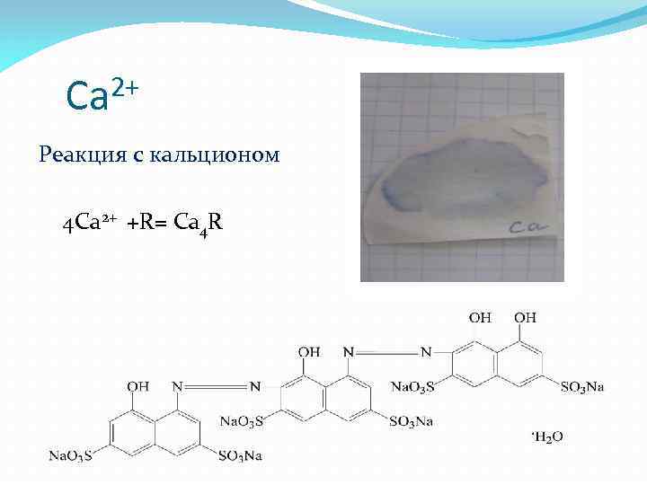 2+ Ca Реакция с кальционом 4 Ca 2+ +R= Ca 4 R 