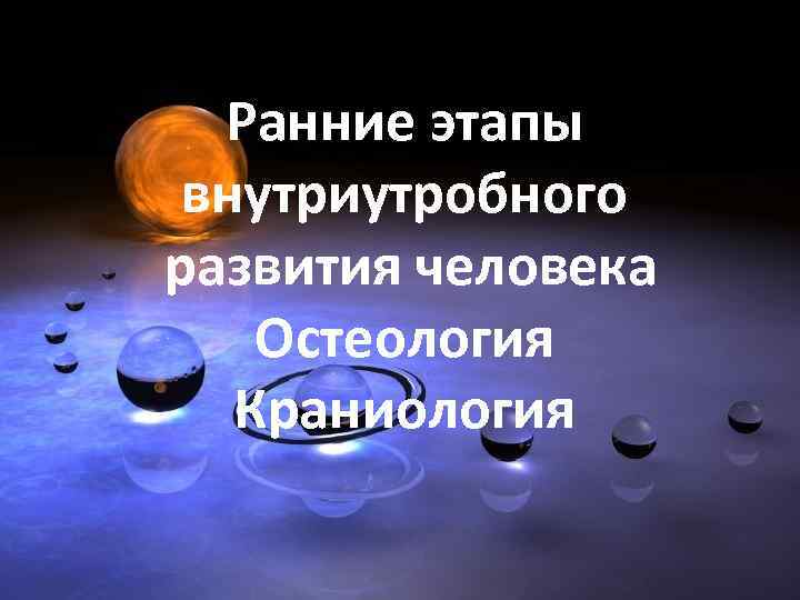 Ранние этапы внутриутробного развития человека Остеология Краниология 