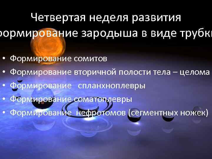 Четвертая неделя развития формирование зародыша в виде трубки • • • Формирование сомитов Формирование