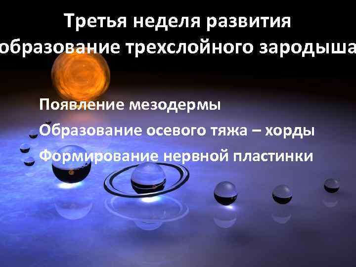 Третья неделя развития образование трехслойного зародыша Появление мезодермы Образование осевого тяжа – хорды Формирование