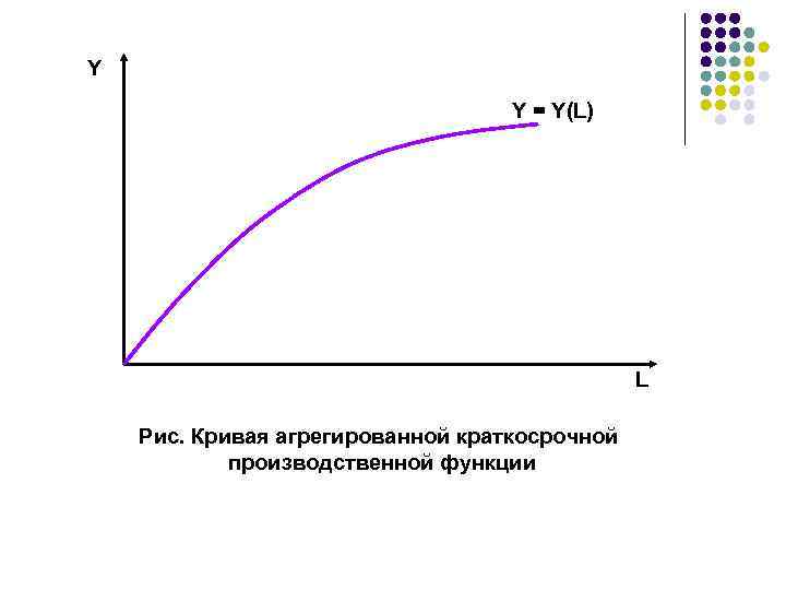 Y Y = Y(L) L Рис. Кривая агрегированной краткосрочной производственной функции 