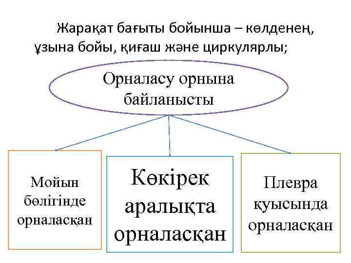 Жарақат бағыты бойынша – көлденең, ұзына бойы, қиғаш және циркулярлы; Орналасу орнына байланысты Мойын