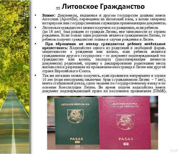 << • • Литовское Гражданство Важно: Документы, выданные в другом государстве должны иметь Апостиль