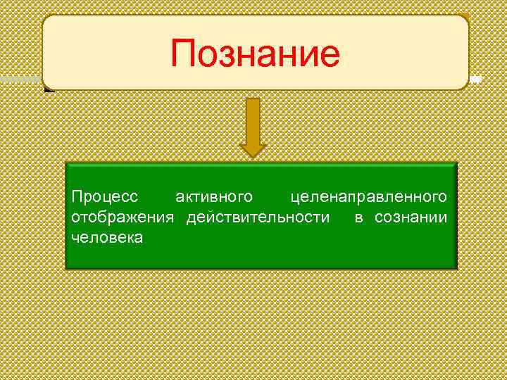 Познание Процесс активного целенаправленного отображения действительности в сознании человека 