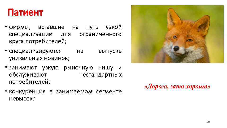 Патиент • фирмы, вставшие на путь узкой специализации для ограниченного круга потребителей; • специализируются