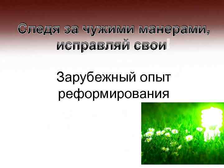 Следя за чужими манерами, исправляй свои! Зарубежный опыт реформирования 