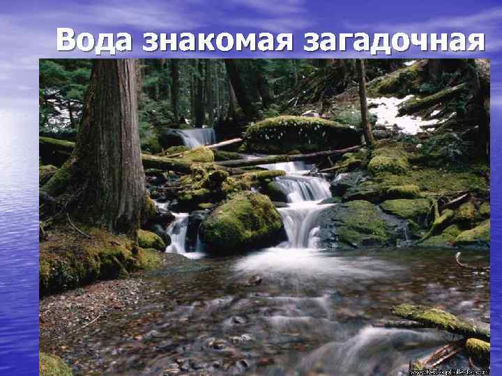 Вода знакомая загадочная 