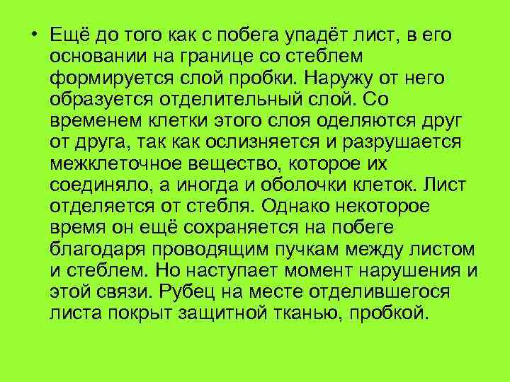  • Ещё до того как с побега упадёт лист, в его основании на