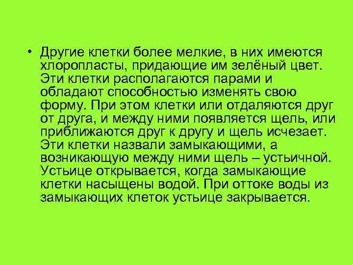  • Другие клетки более мелкие, в них имеются хлоропласты, придающие им зелёный цвет.
