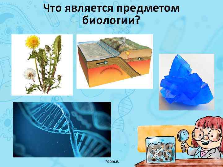 Что является предметом биологии? 