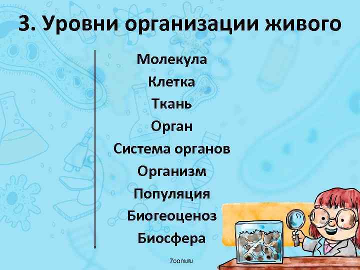 3. Уровни организации живого Молекула Клетка Ткань Орган Система органов Организм Популяция Биогеоценоз Биосфера
