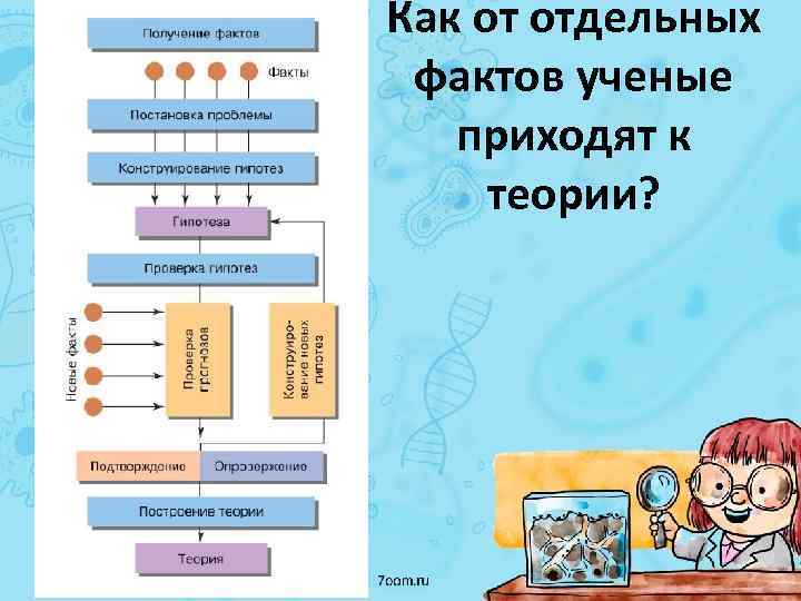 Как от отдельных фактов ученые приходят к теории? 