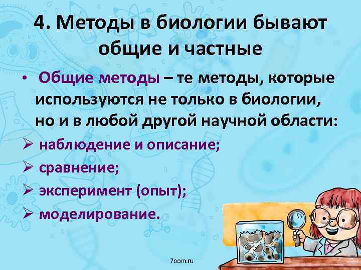 4. Методы в биологии бывают общие и частные • Общие методы – те методы,