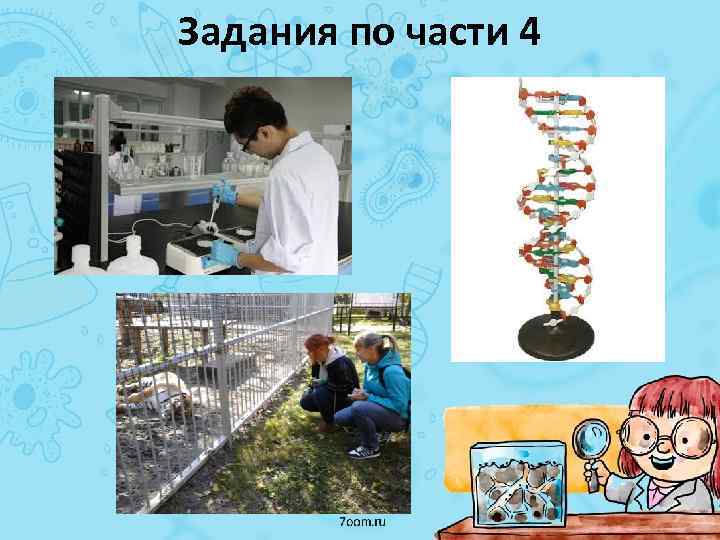 Задания по части 4 