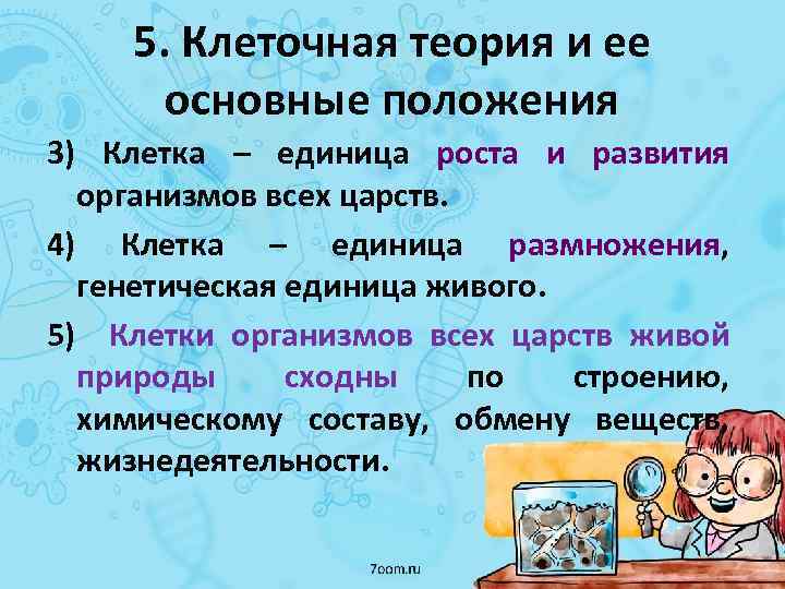 5. Клеточная теория и ее основные положения 3) Клетка – единица роста и развития