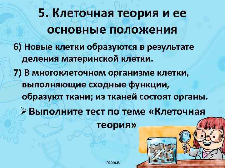 5. Клеточная теория и ее основные положения 6) Новые клетки образуются в результате деления