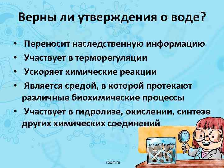 Верны ли утверждения о воде? Переносит наследственную информацию Участвует в терморегуляции Ускоряет химические реакции
