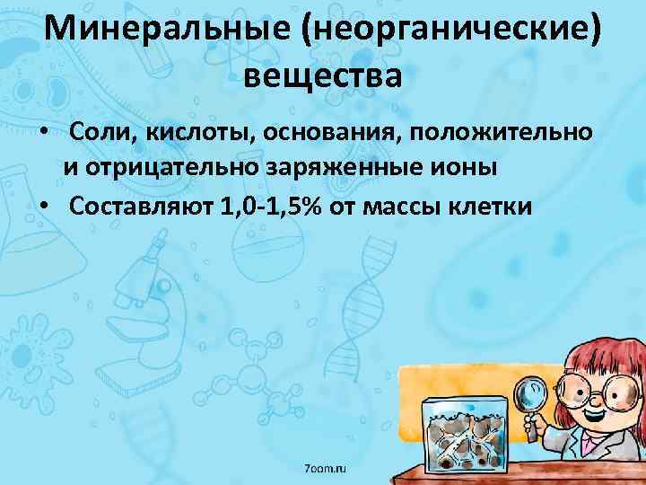 Минеральные (неорганические) вещества • Соли, кислоты, основания, положительно и отрицательно заряженные ионы • Составляют