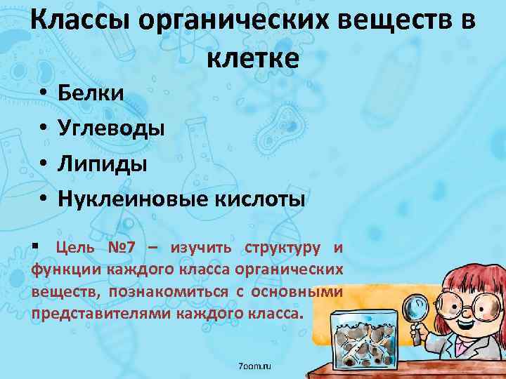 Классы органических веществ в клетке • • Белки Углеводы Липиды Нуклеиновые кислоты Цель №